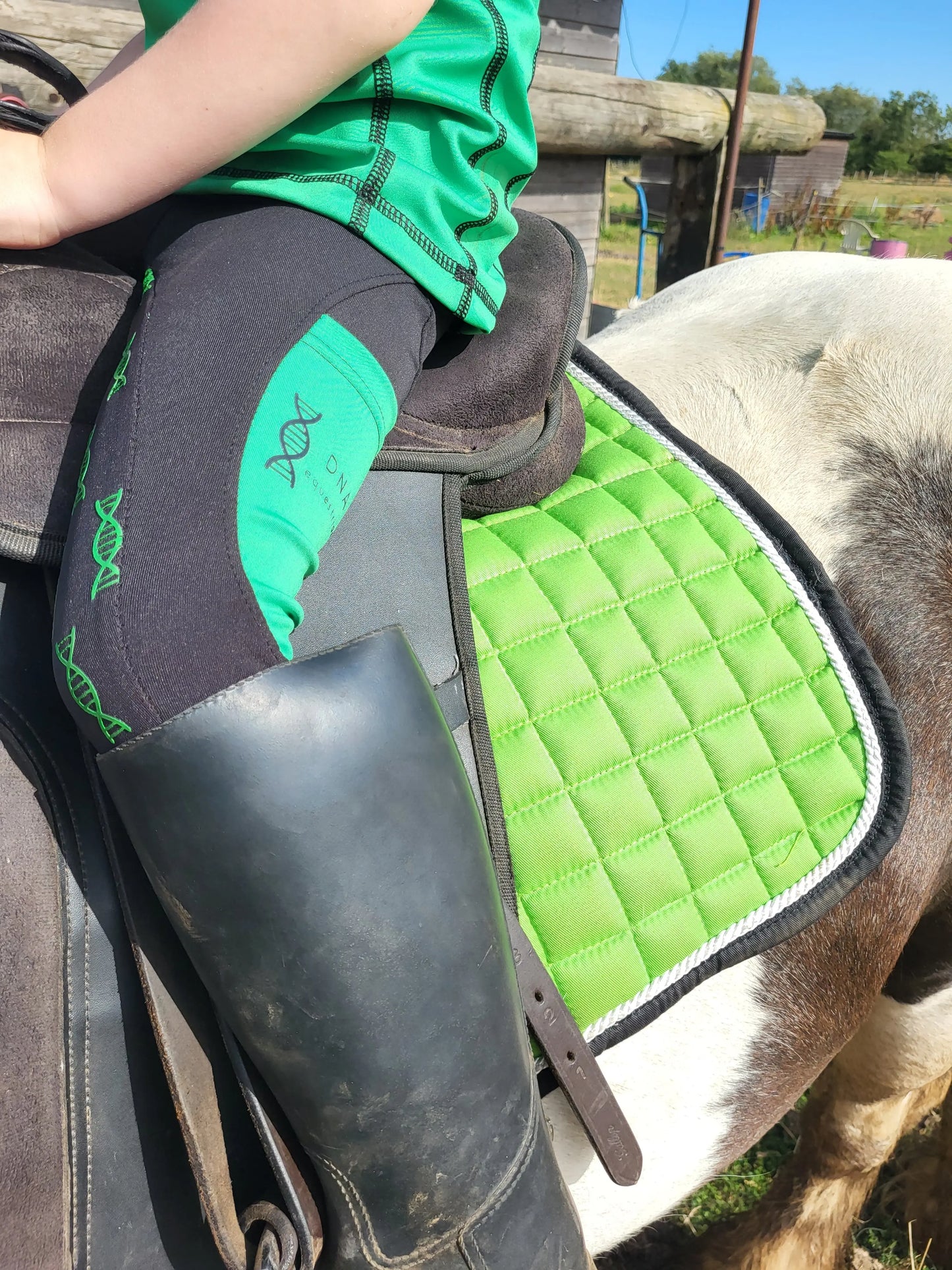 Childrens riding tights in green/black DNA equestrian ltd
