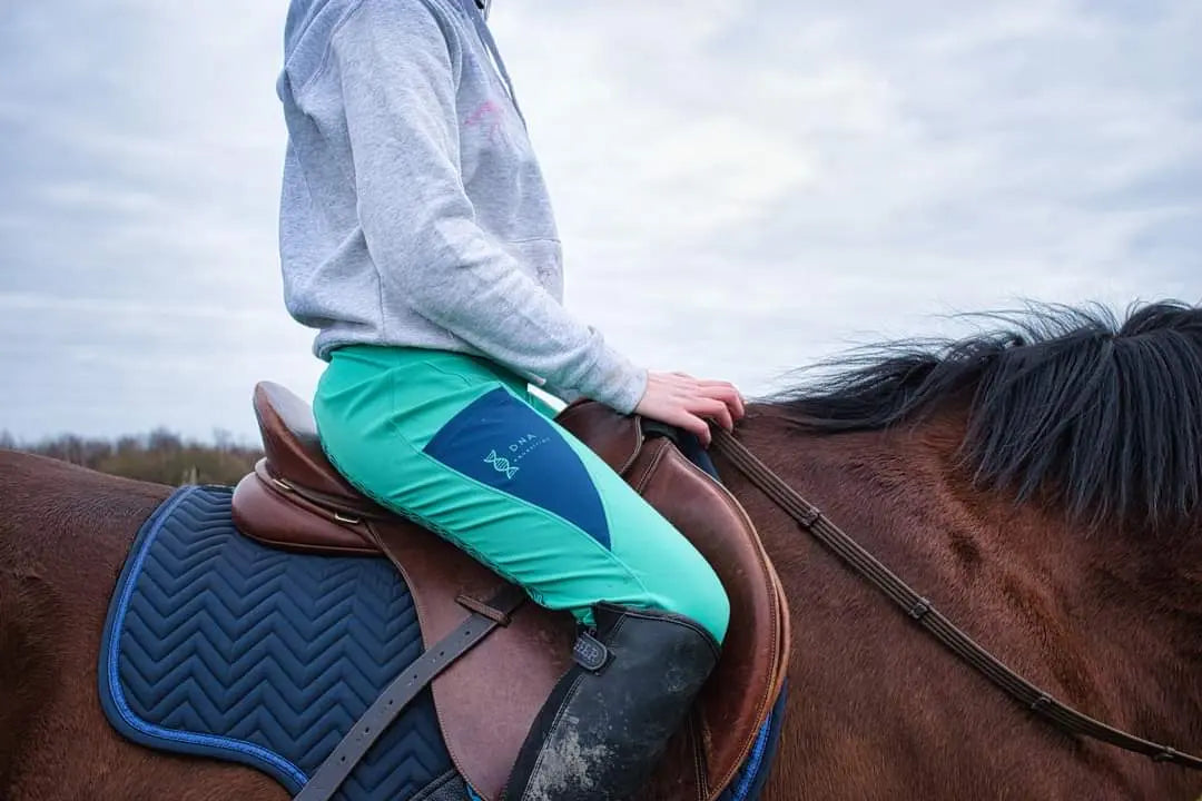 Ladies green and navy riding tights DNA equestrian ltd