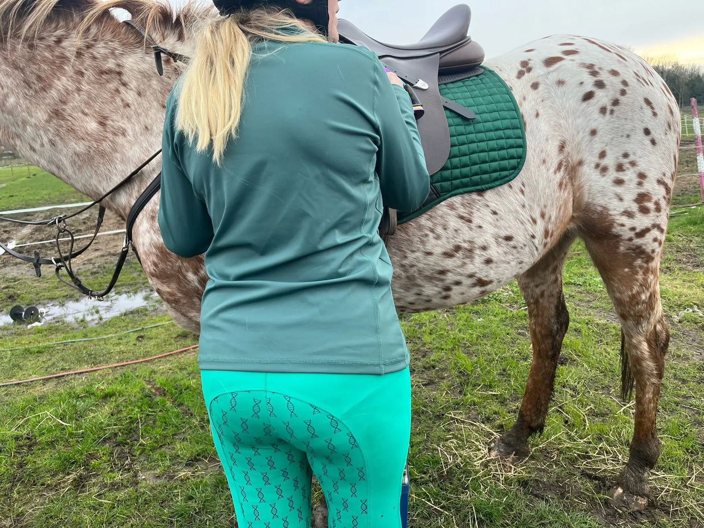 Ladies green and navy riding tights DNA equestrian ltd