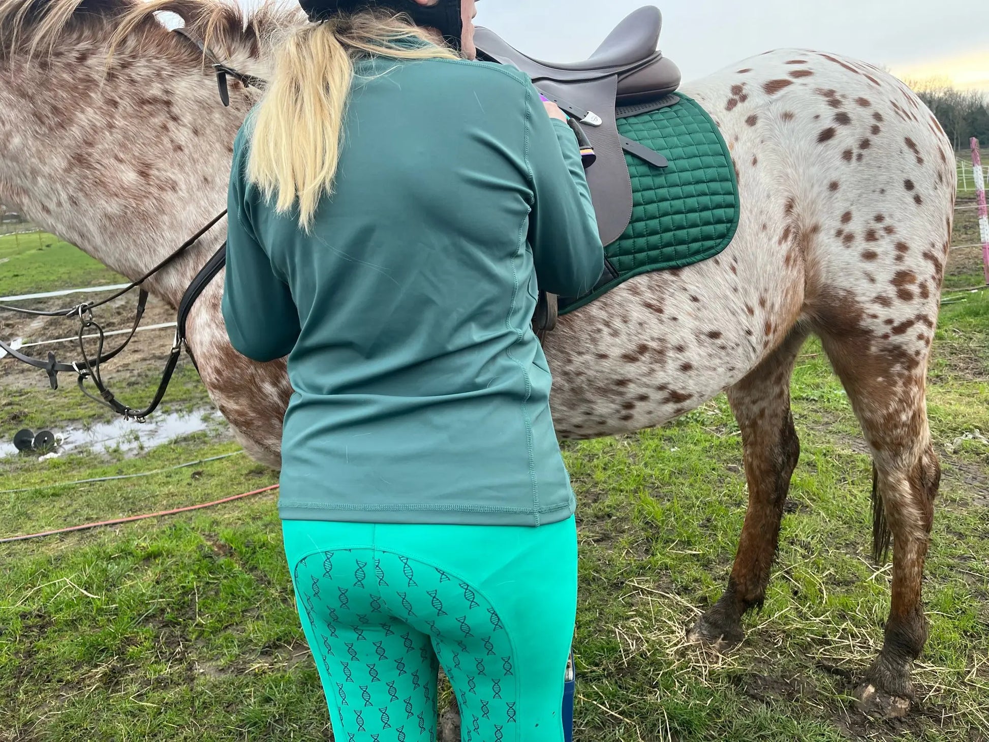 Ladies green and navy riding tights DNA equestrian ltd