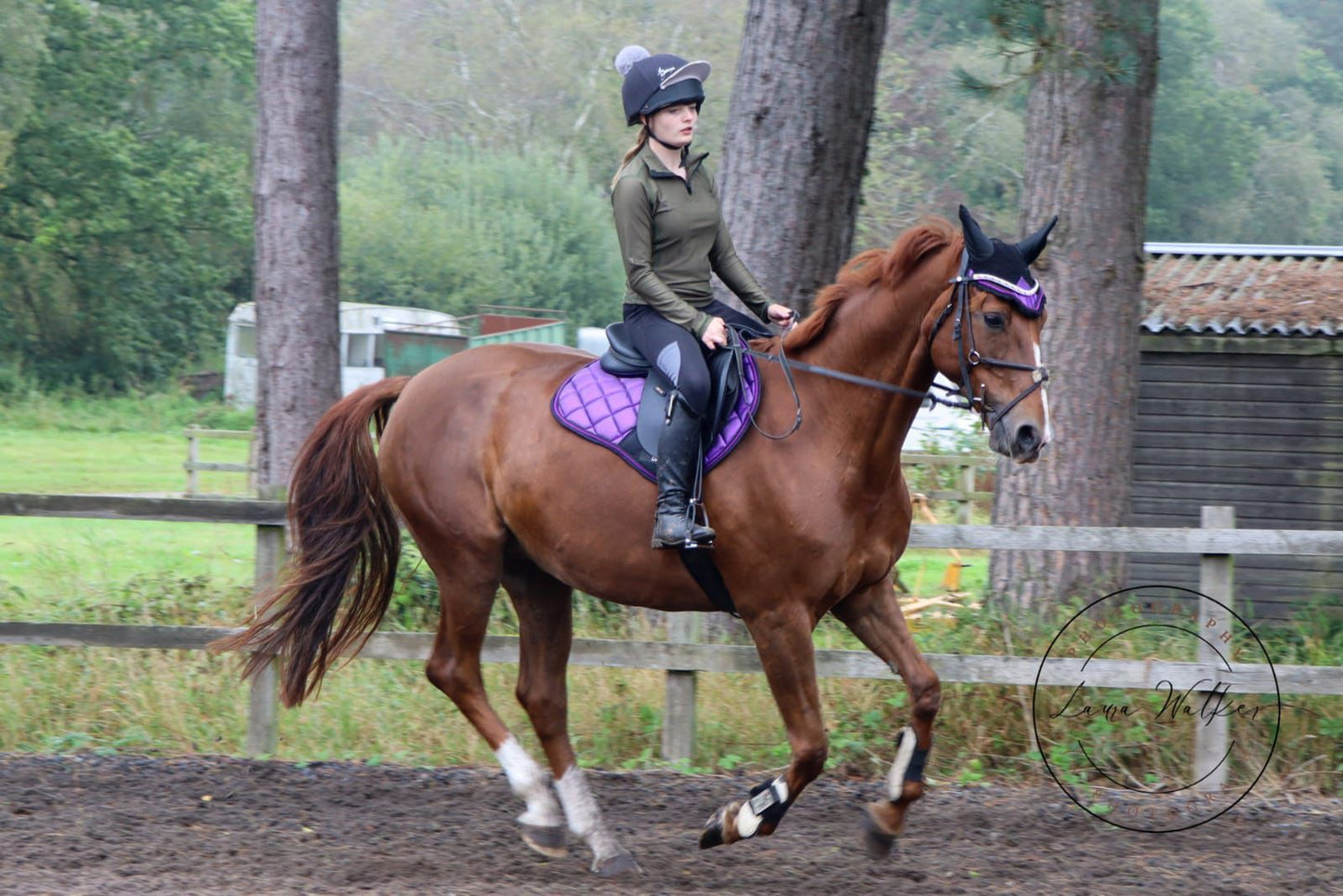 Glitter saddle pad and fly veil set DNA equestrian ltd