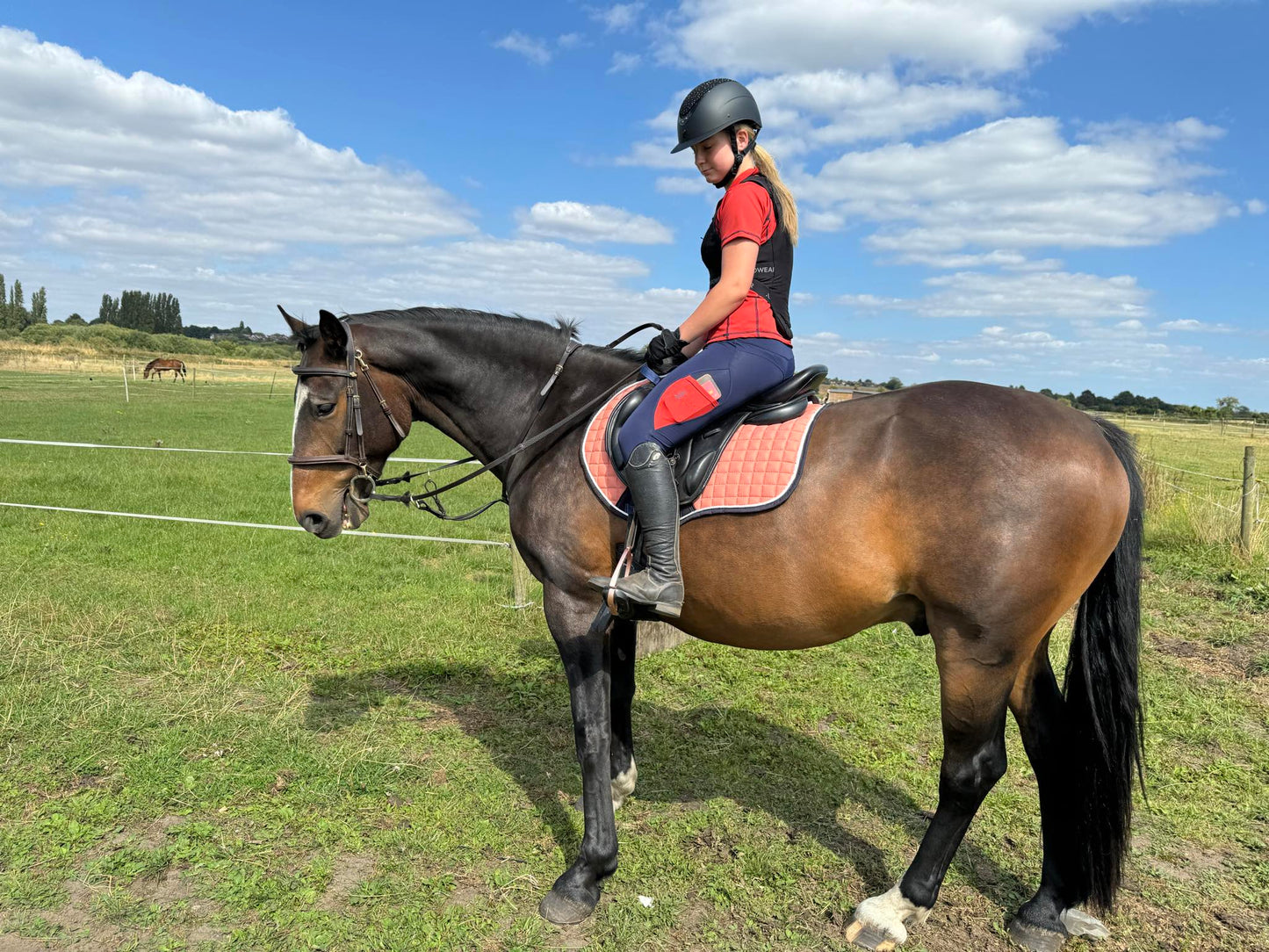 Coral saddle pad and fly veil set DNA equestrian ltd