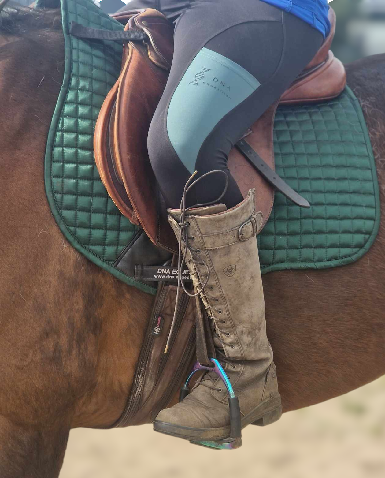 Ladies black and green riding tights DNA equestrian ltd