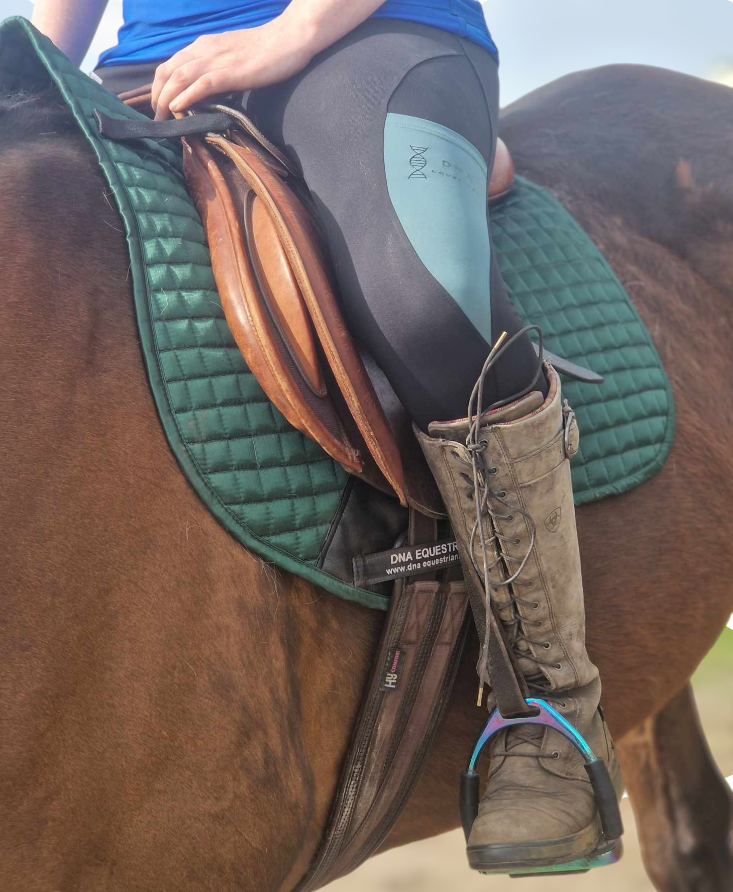 Ladies black and green riding tights DNA equestrian ltd
