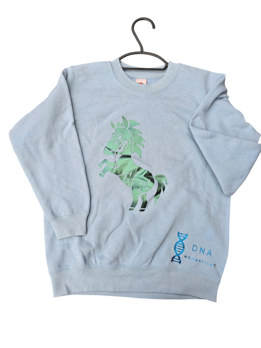 Baby blue sweatshirt with funny horse childrens