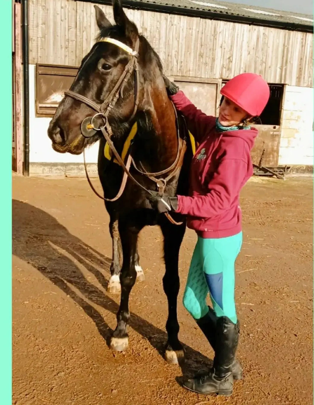 Ladies green and navy riding tights DNA equestrian ltd