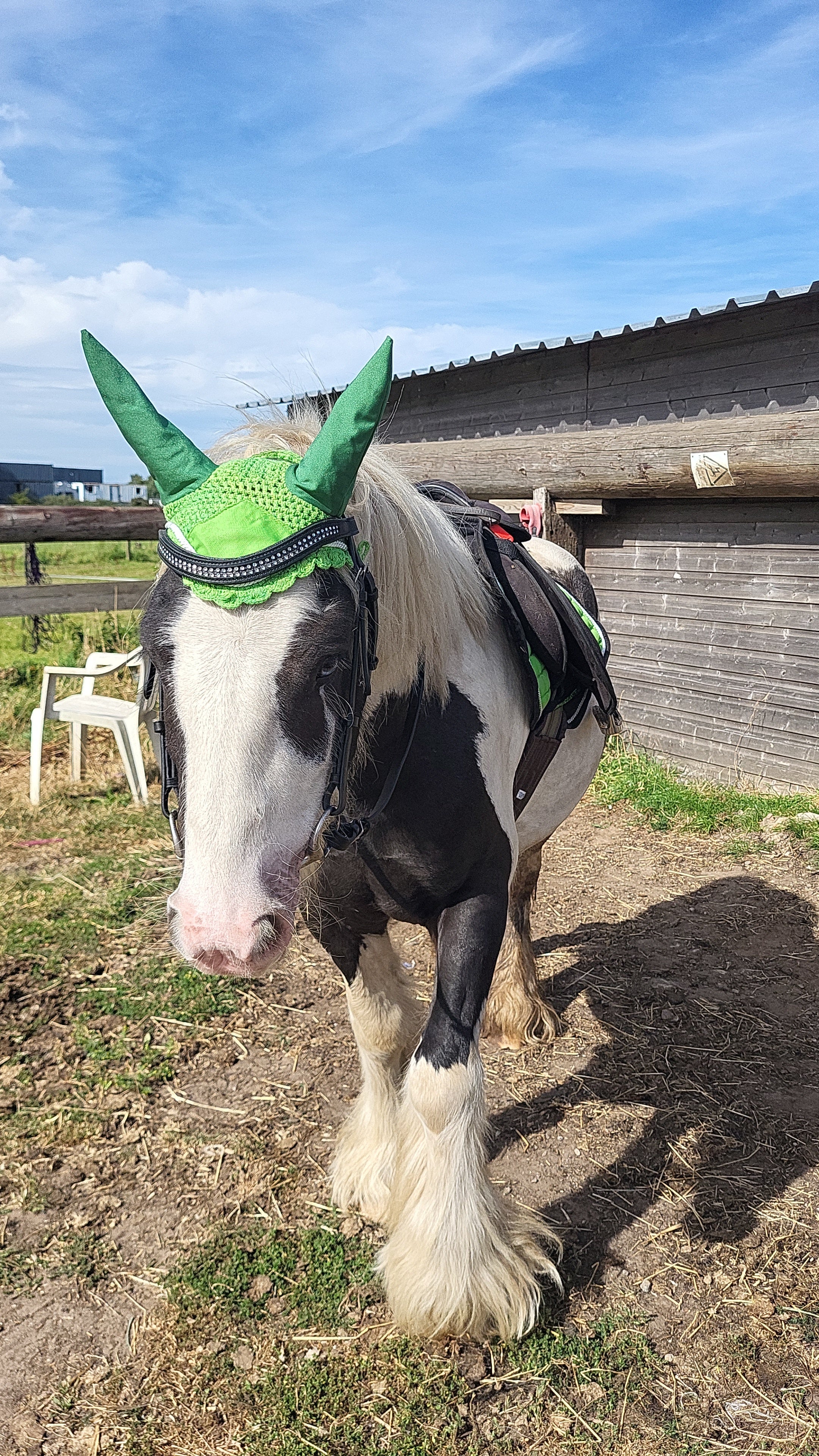 Green saddle pad and fly veil set DNA equestrian ltd