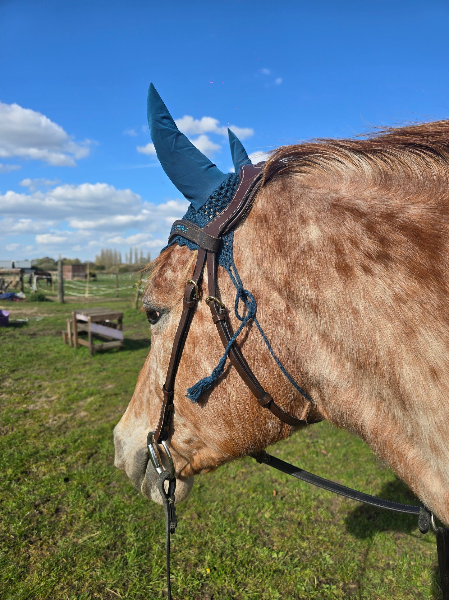 Dark green saddle pad and fly veil set