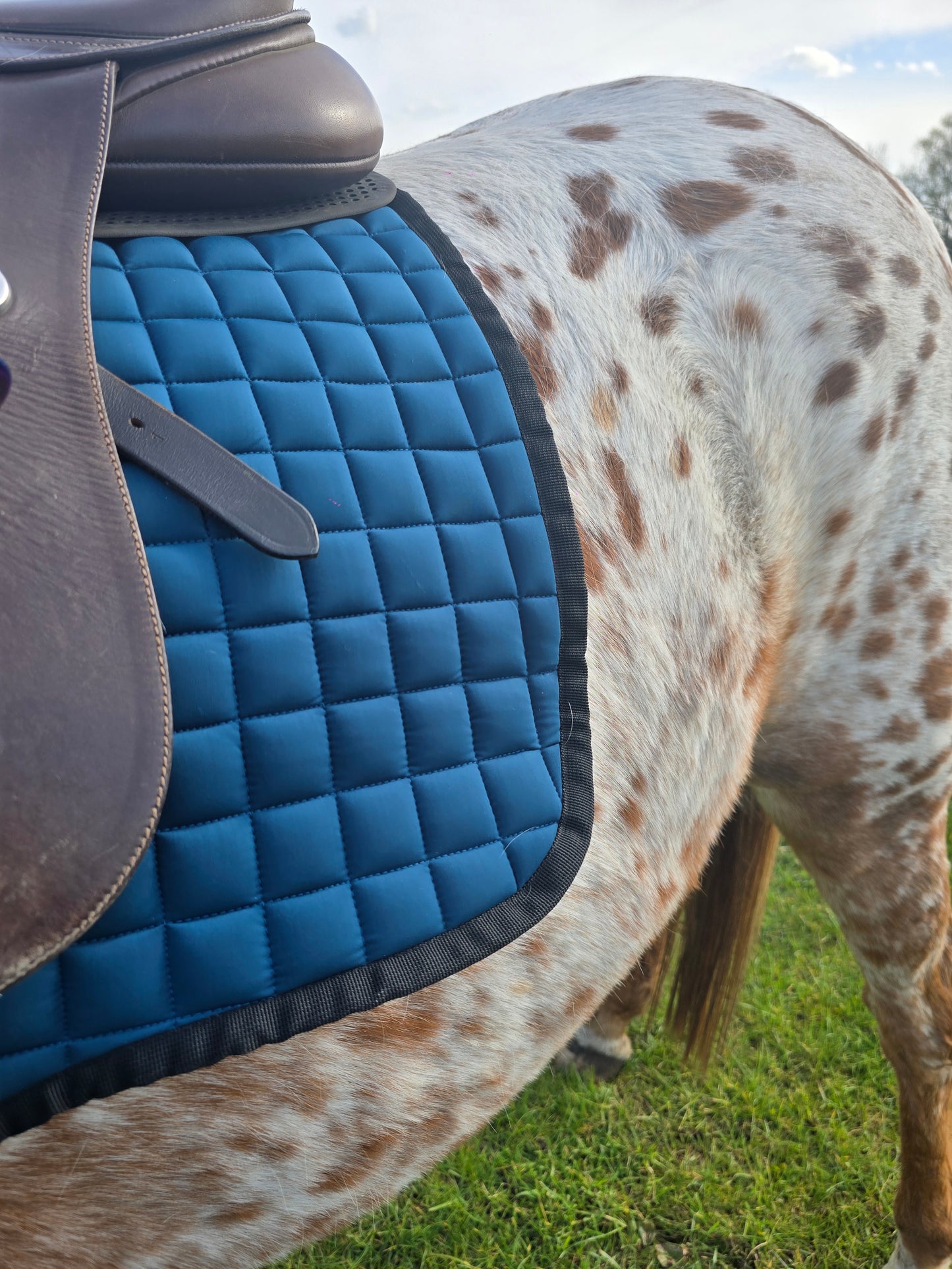 Dark green saddle pad and fly veil set