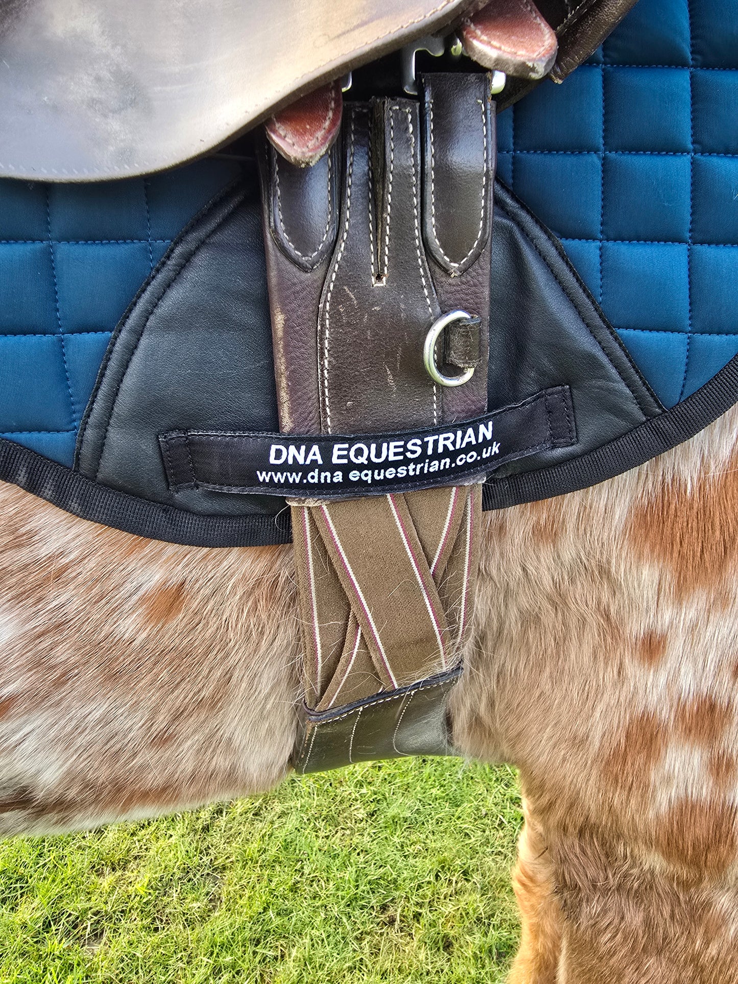 Dark green saddle pad and fly veil set